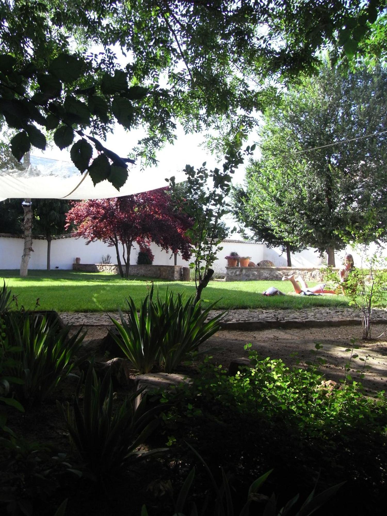 Casa Rural La Alameda Madridejos Kültér fotó