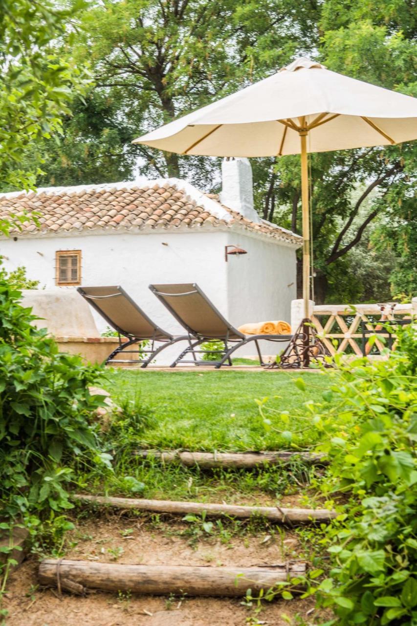 Casa Rural La Alameda Madridejos Kültér fotó